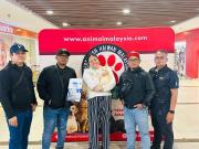 cat-adoption-3