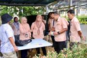 sarapan-pagi-landskap-4
