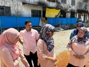 pecah-tanah-4
